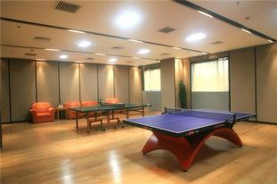 江西绿洲杂木乒乓球台板5x9尺（12、15、18、25mmE1、E2、P2）