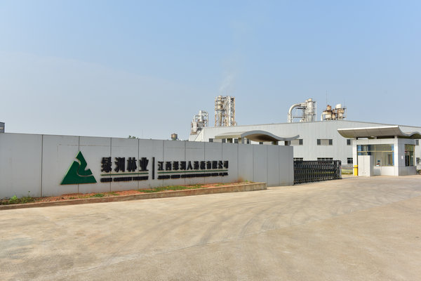 公司大门 