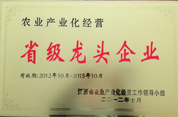 2012省农业龙头企业
