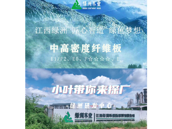 小叶带你探厂