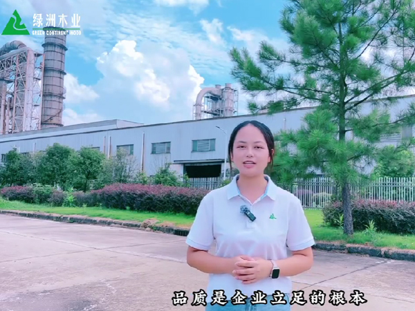 小叶带你探厂