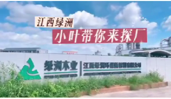小叶带你探厂