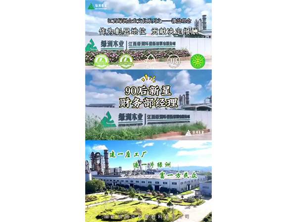 小叶探厂
